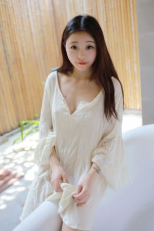 《向风而行》电视剧