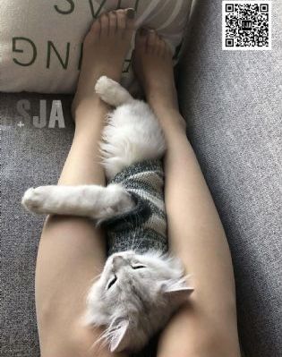 在线观看