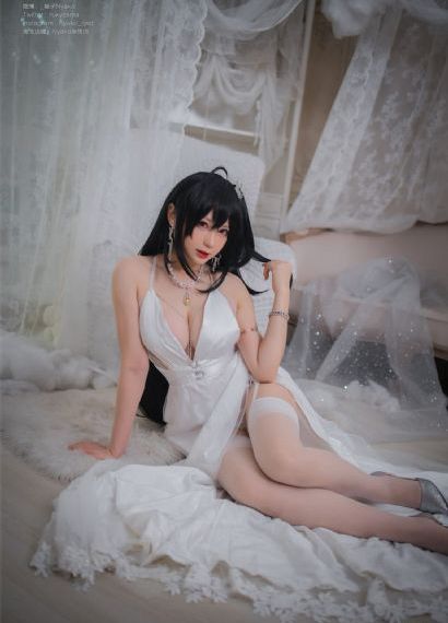 打黑风暴电视剧全集