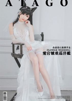 免费播放电视剧大全大牛