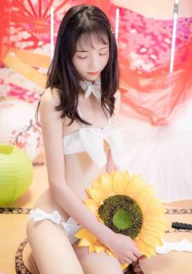 星蝶公主第四季